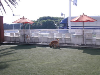 0801100.jpg