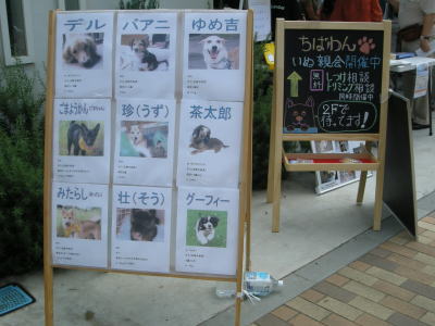 09090502.jpg