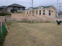 20060406194147.jpg