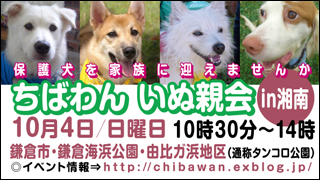 バナー2.jpg