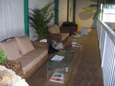 20070124005544.jpg