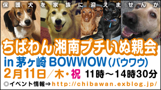 20100211_chigasaki_banner320x180.jpg